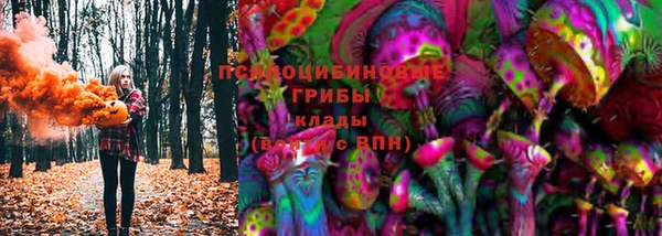 герыч Алексин