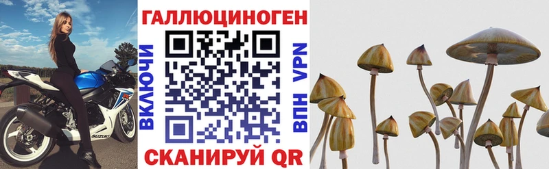 как найти   Боготол  Галлюциногенные грибы прущие грибы 